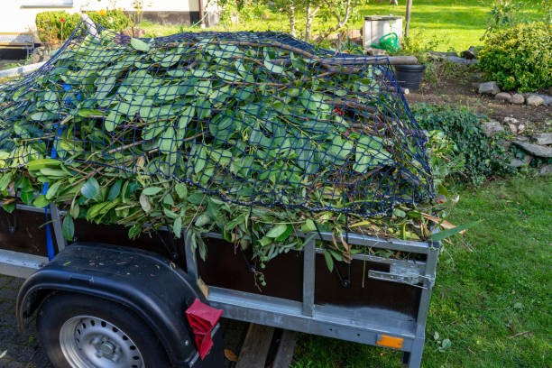 Best Retail Junk Removal  in Cohoe, AK